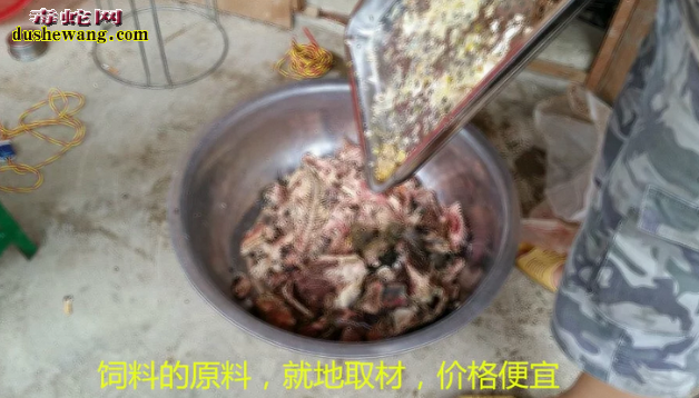 广西雷村蛇场第二期蛇饲料培训班开学通知