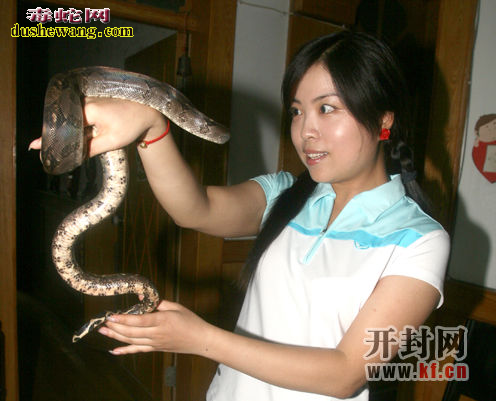 蛇进家