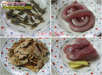 【金边水蛇煲蝎子】怎么做金边水蛇煲蝎子好吃