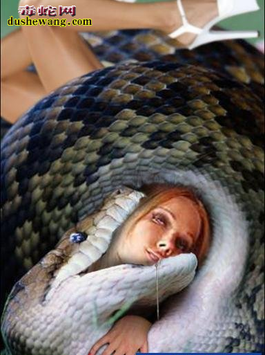 蟒蛇吃人图