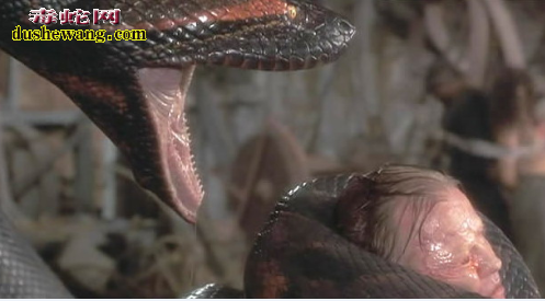 蟒蛇吃人图