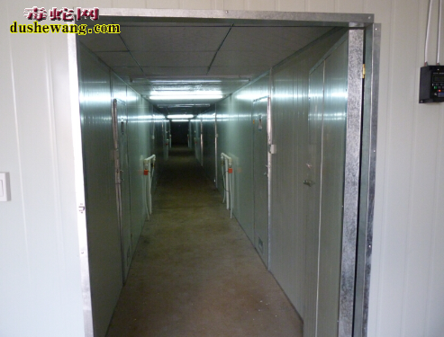 山东养蛇培训基地