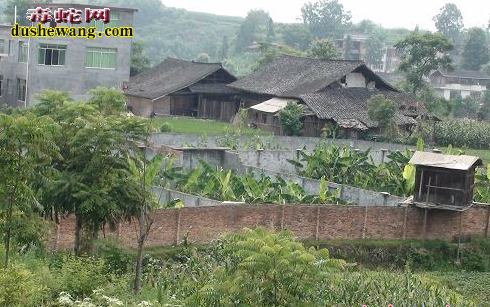 仿生态养蛇