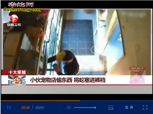 美国笨贼宠物店偷蛇,把蛇放入裤裆里!