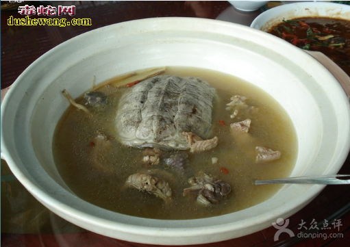 乌龟水蛇汤