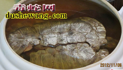 乌龟水蛇汤做法步骤2