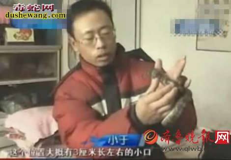 报恩蛇：男子救灵蛇一命 蛇报恩救活了他全家