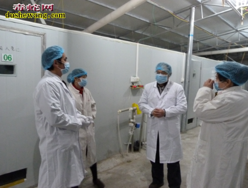 河北宣化养蛇场养蛇基地
