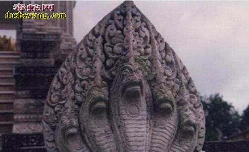 罕见的五头蛇！解密网传印度神庙出现五头蛇真相！