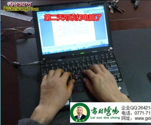 雷村蛇场治疗眼镜蛇咬伤全过程