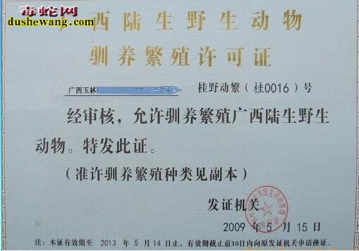 养蛇要什么手续