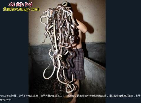 德清养蛇技术培训班