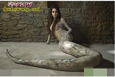 美女蛇！马来西亚蛇王捕获人头蛇身女人