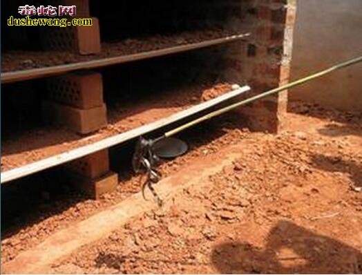 贵州余庆养蛇场养蛇基地