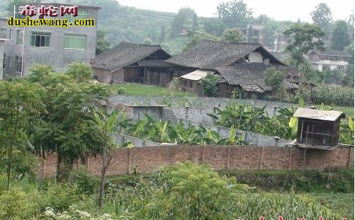 贵州贵阳养蛇场养蛇基地