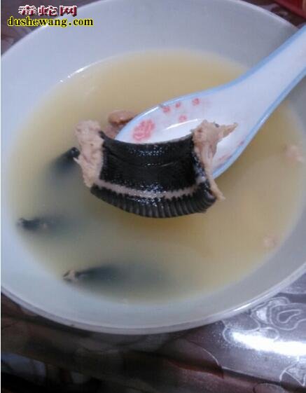 银环蛇煲汤