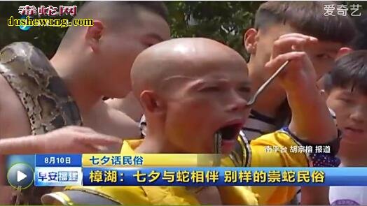 樟湖蛇文化节:七夕情人节与蛇相伴 崇蛇文化旅游节历史悠久