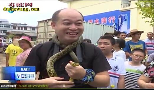 樟湖蛇文化节：七夕情人节与蛇相伴 崇蛇文化旅游节历史悠久