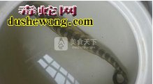海蛇炖鸡做法步骤图