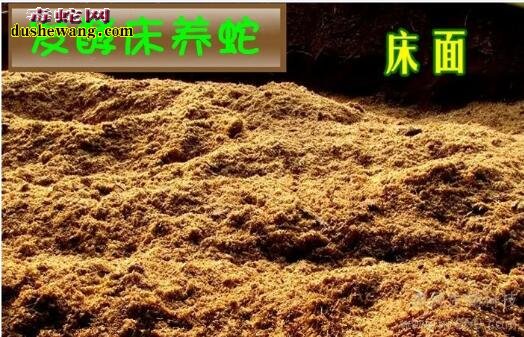 养蛇技术培训哪里有?