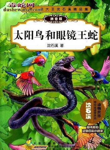 太阳鸟与眼镜王蛇