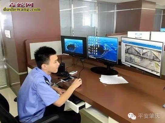 肇庆男孩被毒蛇咬伤 警方助其7分钟送医