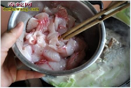 蝮蛇能吃吗?