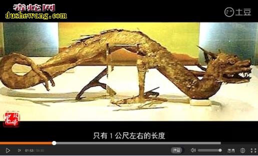 日本惊现真龙标本 原来是偷盗中国的！