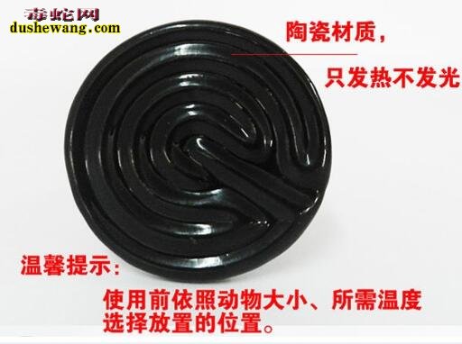 养蛇灯
