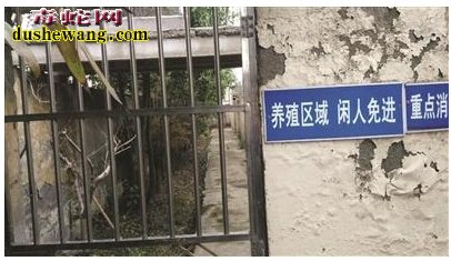 记者探访南京养蛇场 戒备森严蛇难逃脱