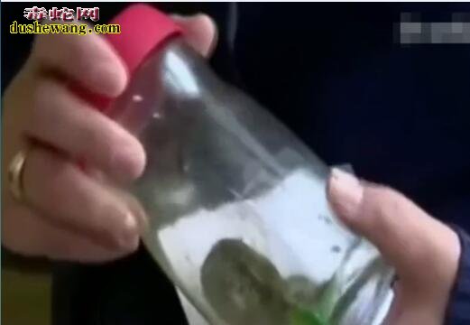 奇闻:一岁儿童误咬剧毒蛇 孩子没事毒蛇死了!