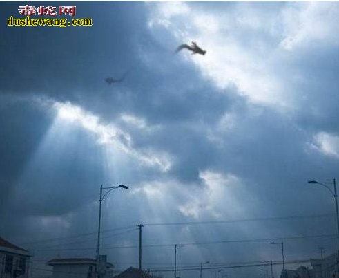营口坠龙事件