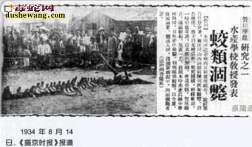 惨遭封杀各种灵异事件 1934年营口坠龙事件