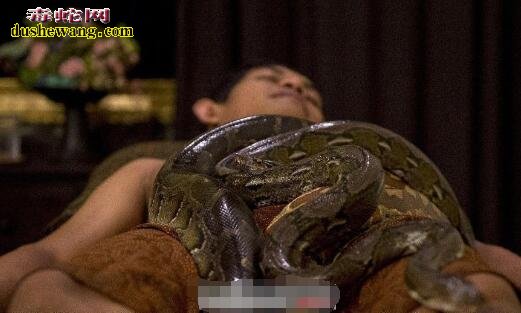 梦见大蟒蛇什么意思