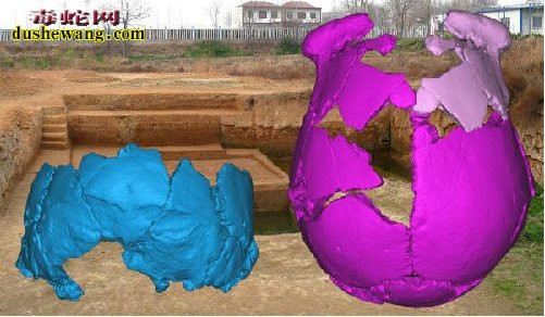 河南发现10万年人类化石