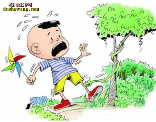 被毒蛇咬伤有什么危害?