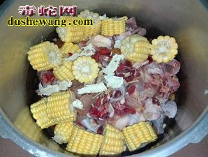 蛇肉炖鸡做法步骤图3
