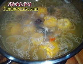 蛇肉炖鸡做法步骤图4