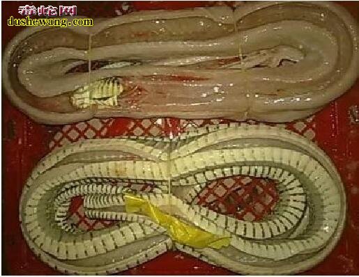 乌梢蛇肉图片
