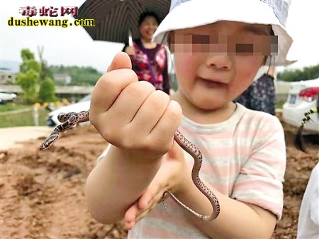 “虎式教育”父亲捉毒蛇给4岁女儿玩 零下30℃徒步2小时