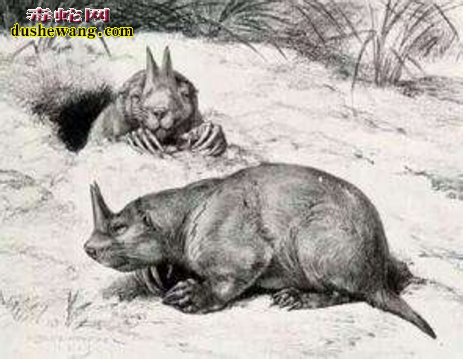 史前巨兽:曾经在地球上生存的10种巨兽