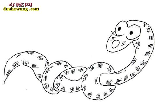 赤练蛇简笔画4