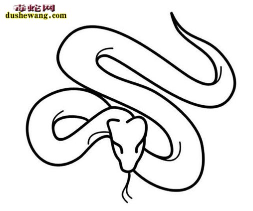 赤练蛇简笔画6