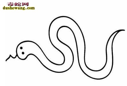 赤练蛇简笔画7