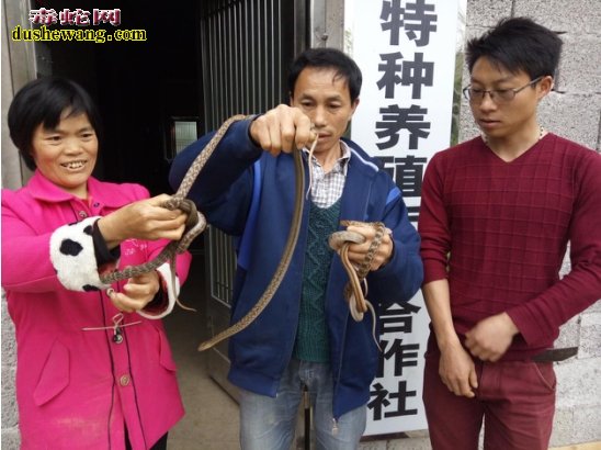胡昌汉
