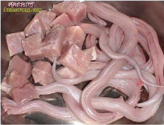 水蛇肉图片9