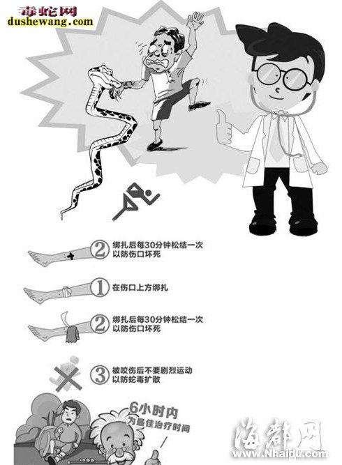 竹叶青蛇漫画2