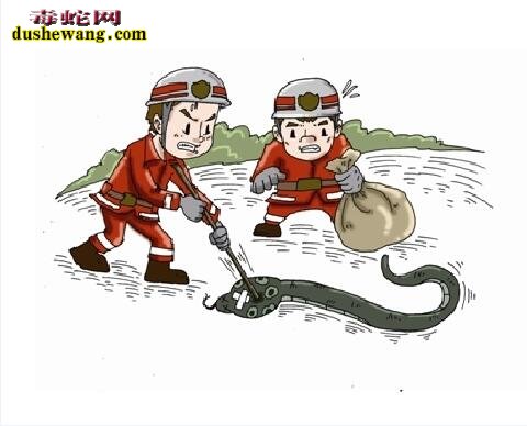 竹叶青蛇漫画4
