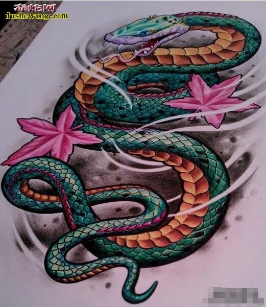 竹叶青蛇纹身图片3