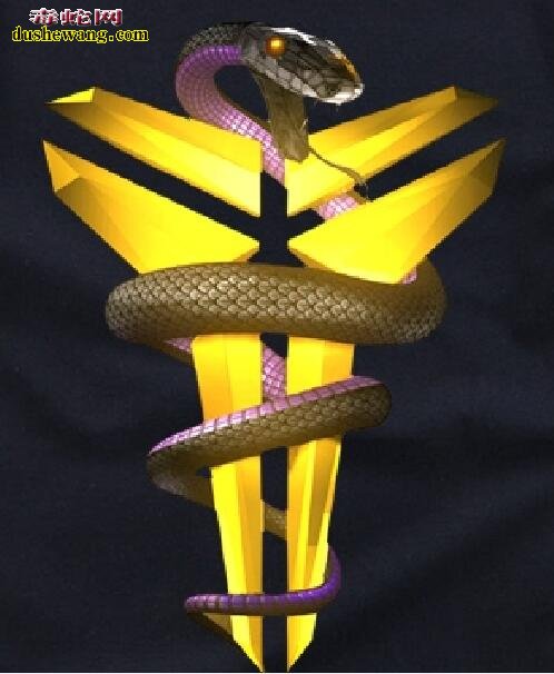 黑曼巴蛇标志图片7